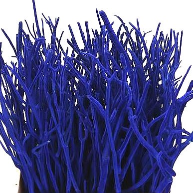 MITSUMATA DYED BLUE