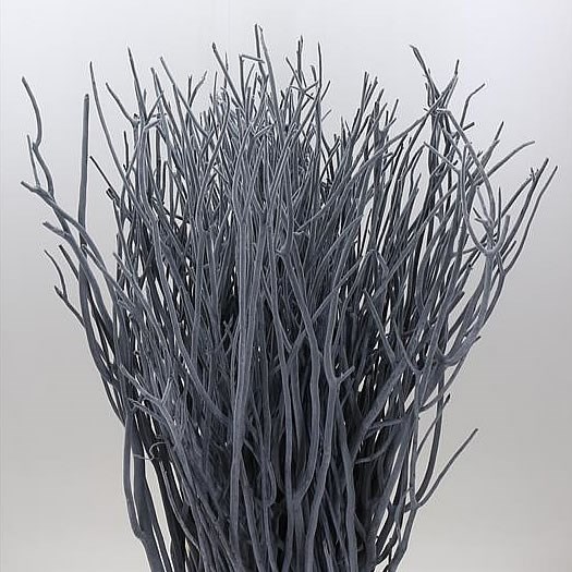 MITSUMATA DYED GREY