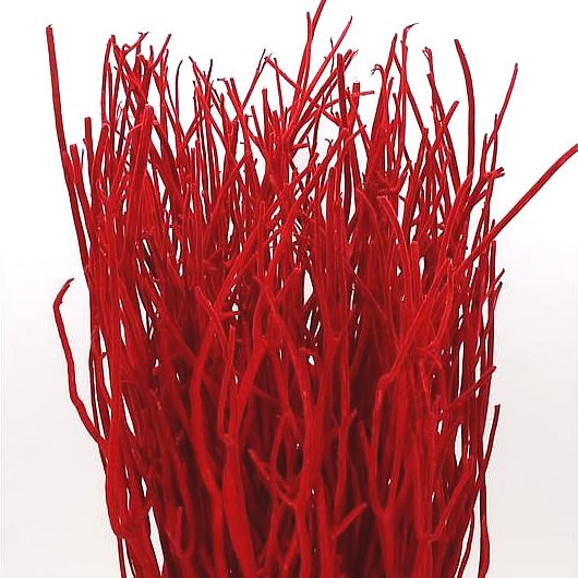 MITSUMATA DYED RED