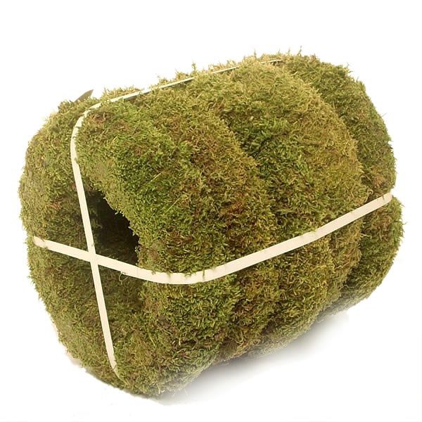 Moss Ring 20cm