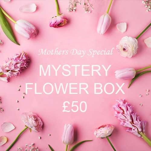 Mothers Day Mystery Flower Box £50 (incl. VAT)