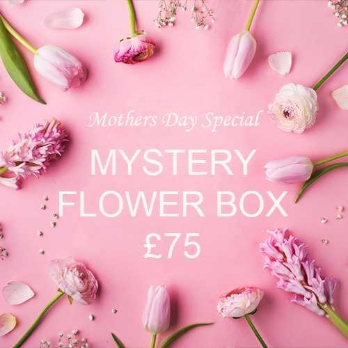 Mothers Day Mystery Flower Box £75 (incl. VAT)