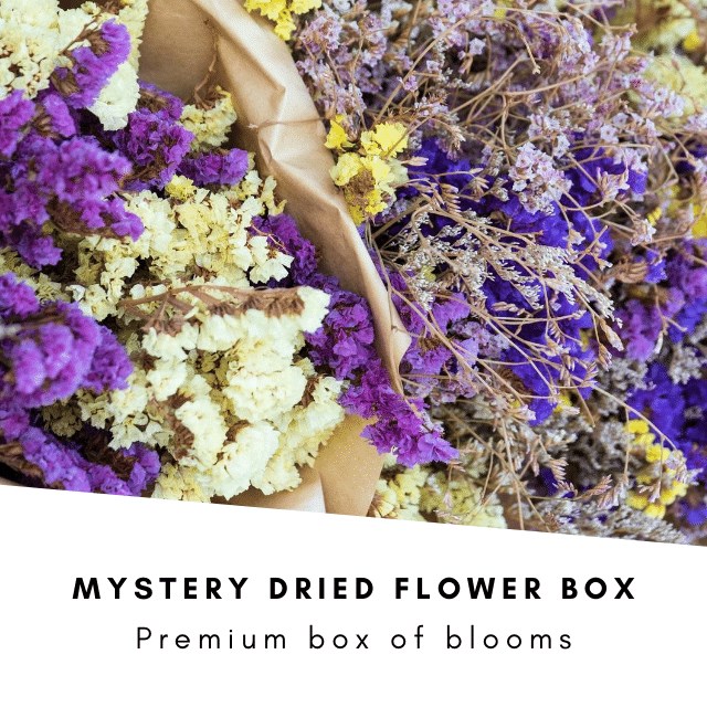 Mystery Dried Flower Box