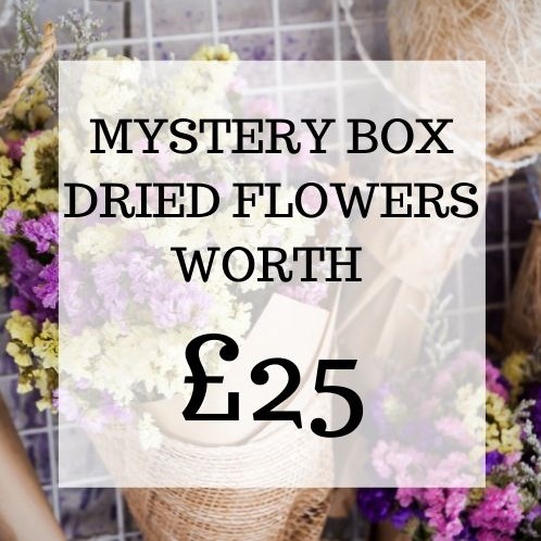 Mystery Dried Flower Box £25 (inc VAT)