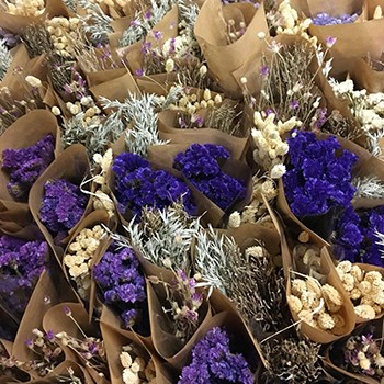Mystery Dried Flower Box (Cols May Vary)