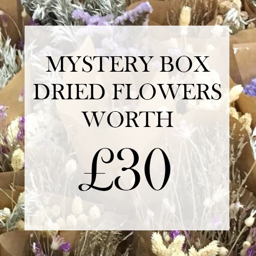 Mystery Dried Flower Box 30 Wholesale Dutch Flowers Direct Florist Supplies Uk