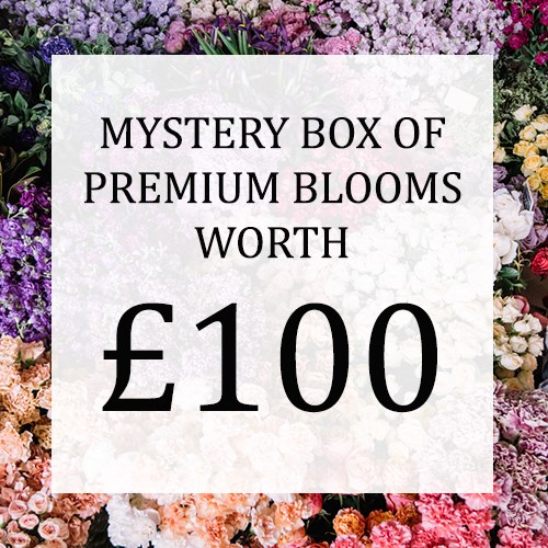 Mystery Flower Box £100 (incl. VAT)