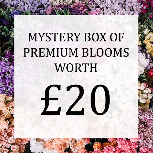 Mystery Flower Box £20 (incl. VAT)
