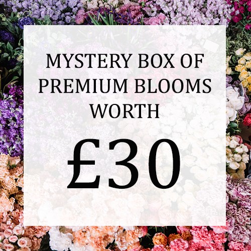 Mystery Flower Box £30 (incl. VAT)