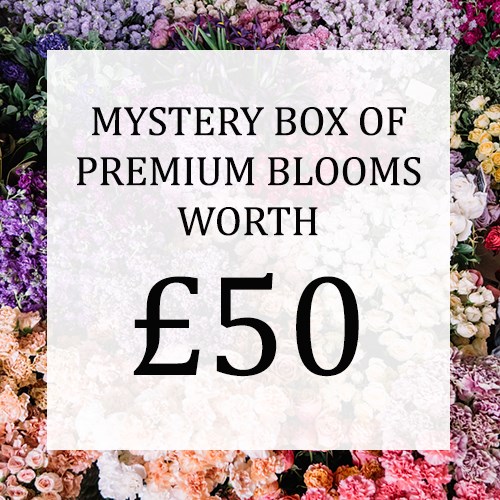 Mystery Flower Box £50 (incl. VAT) 