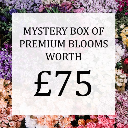 Mystery Flower Box £75 (incl. VAT) 