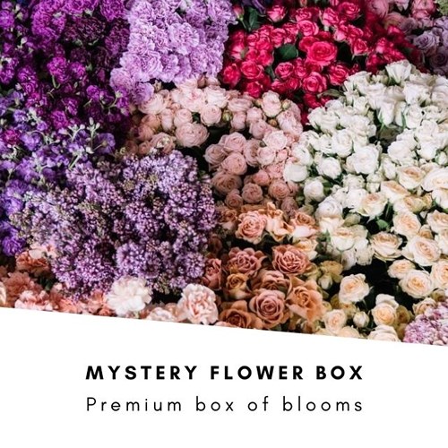 Mystery Fresh Flower Boxes (inc VAT)