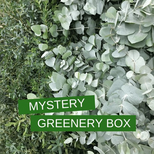 Mystery Greenery Box