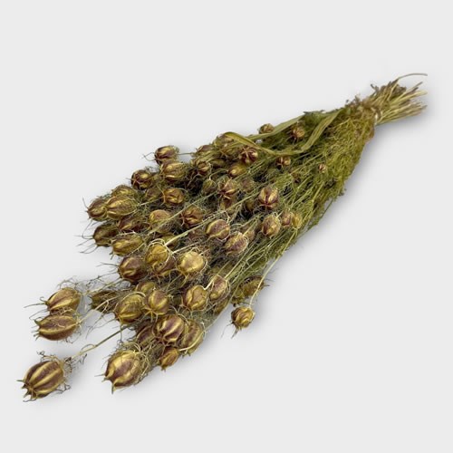 Nigella (Dried)