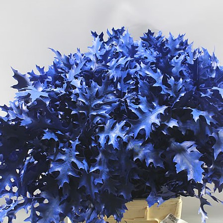 OAK LEAVES DYED BLUE (SMALL)