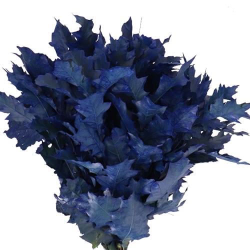 OAK LEAVES DYED FROST BLUE