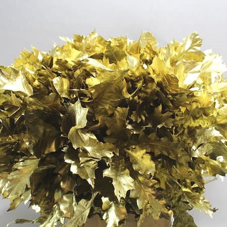 OAK LEAVES DYED GOLD