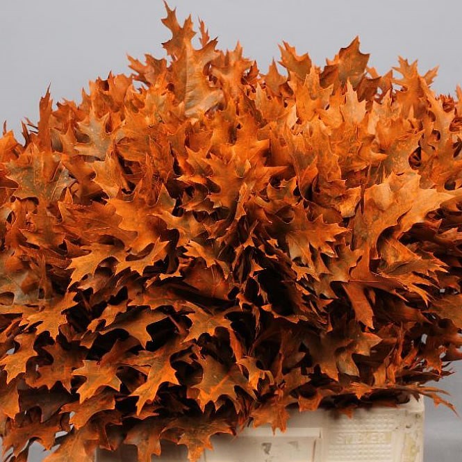 OAK LEAVES DYED ORANGE (SMALL)