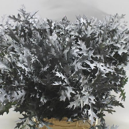 OAK LEAVES SMALL DYED GREY