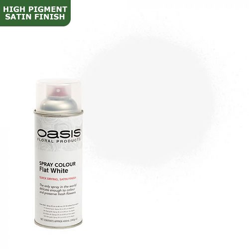 Spray Paint (Oasis) - Flat White (Satin Finish)