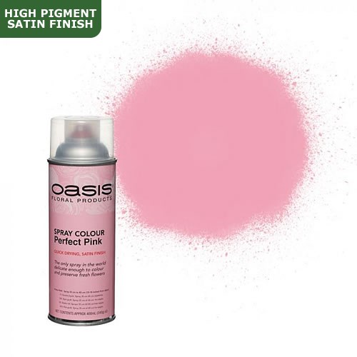 Spray Paint Oasis Perfect Pink Wholesale Dutch Flowers & Florist