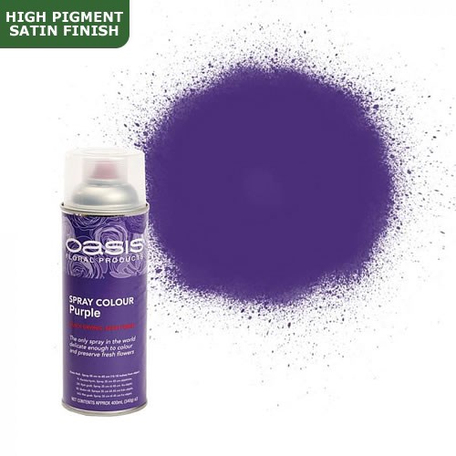 Spray Paint Oasis Purple  Wholesale Dutch Flowers & Florist