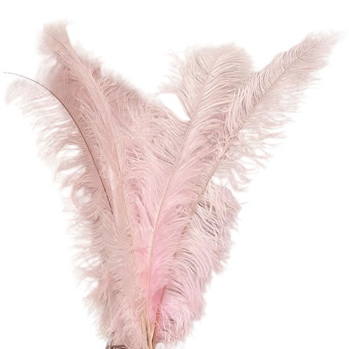 Ostrich Feathers Light Pink, Florist Supplies