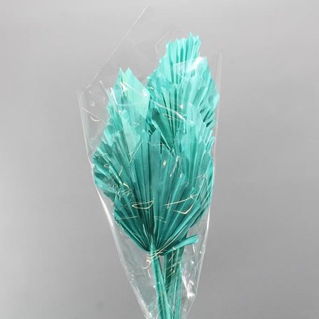 PALM SPEARS AQUARIN (DRIED)