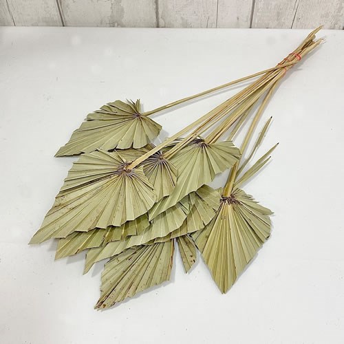 A1 PALM SPEARS NATURAL (DRIED)