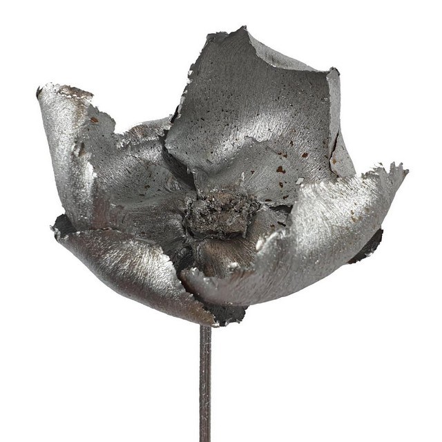 PALMCUPS - SILVER (DRIED)