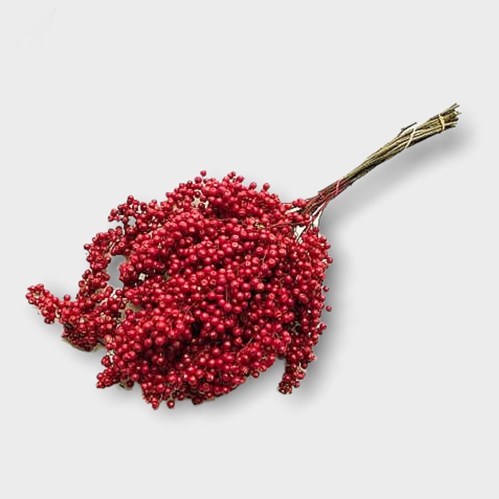 Pepper Berries Dyed Red (Schinus Molle)