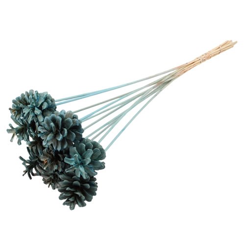 PINE CONE PICKS LIGHT BLUE 50cm Wholesale Dutch Flowers & Florist