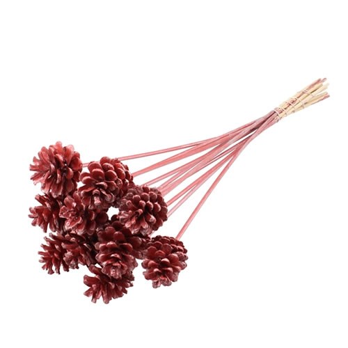 PINE CONE PICKS METALLIC RED 50cm Wholesale Dutch Flowers & Florist