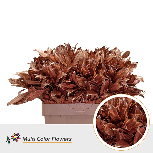 PRUNUS LAUROCERASUS DYED COPPER