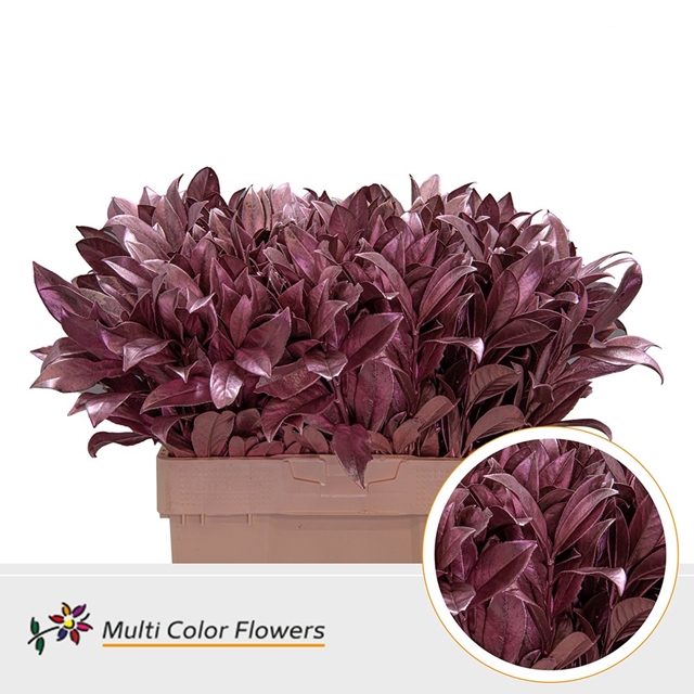 PRUNUS LAUROCERASUS DYED ROSE GOLD