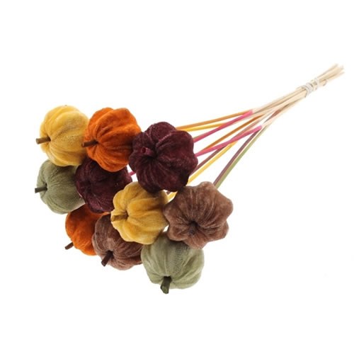 PUMPKIN PICKS - VELVET MIXED