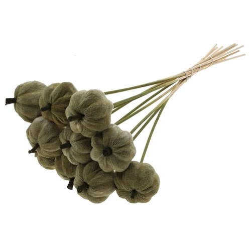 PUMPKIN PICKS - VELVET OLIVE