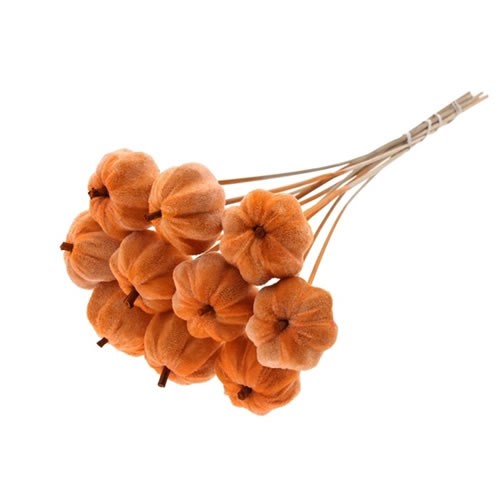 PUMPKIN PICKS - VELVET ORANGE