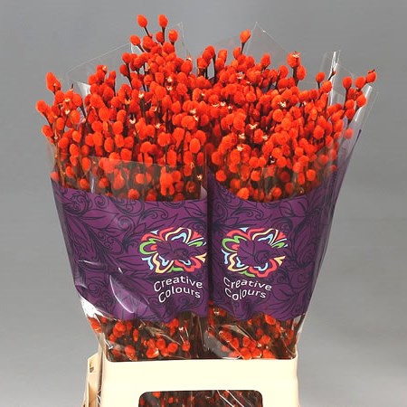 PUSSY WILLOW DYED ORANGE