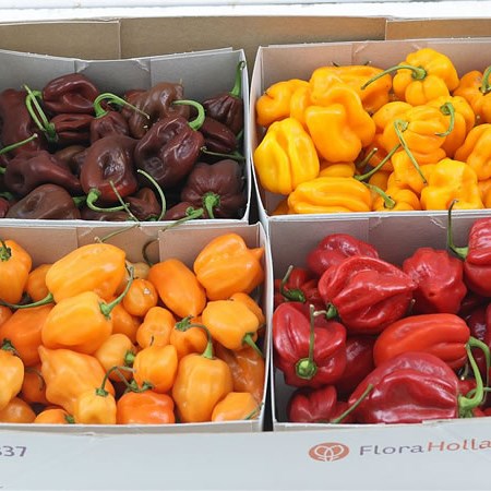 Paprika Pepper Mix (in Punnets)