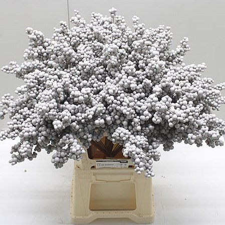 Pepper Berries on Sticks - Grey (Artificial)
