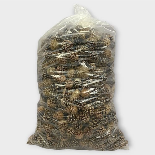 Pine Cones Natural 10Kg (Dried)