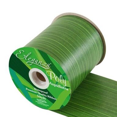 Ribbon Poly - Aspidistra Print  (Mint) 100mm 