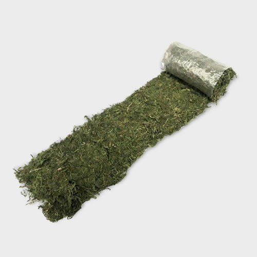Asia Preserved Moss Sheet - 16cm x 120cm wide