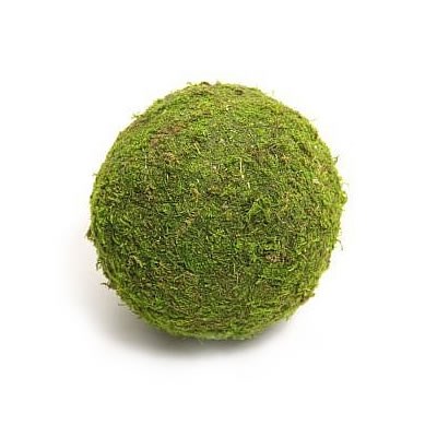Preserved Moss Balls 10cm (pack of 6)