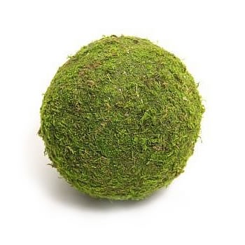 Preserved Moss Balls 15cm (pack of 2)
