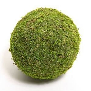 Preserved Moss Balls 20cm (pack of 1)