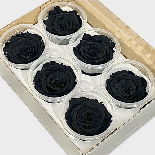 Luxury One Year Preserved Roses Black Preserved Rose Heads UK Dried