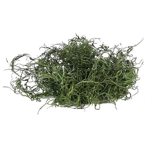 Tillandsia Moss Preserved Green 350gm Dried Flowers & Preserved Moss UK