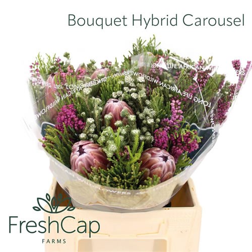 Protea Caroussel Bouquet